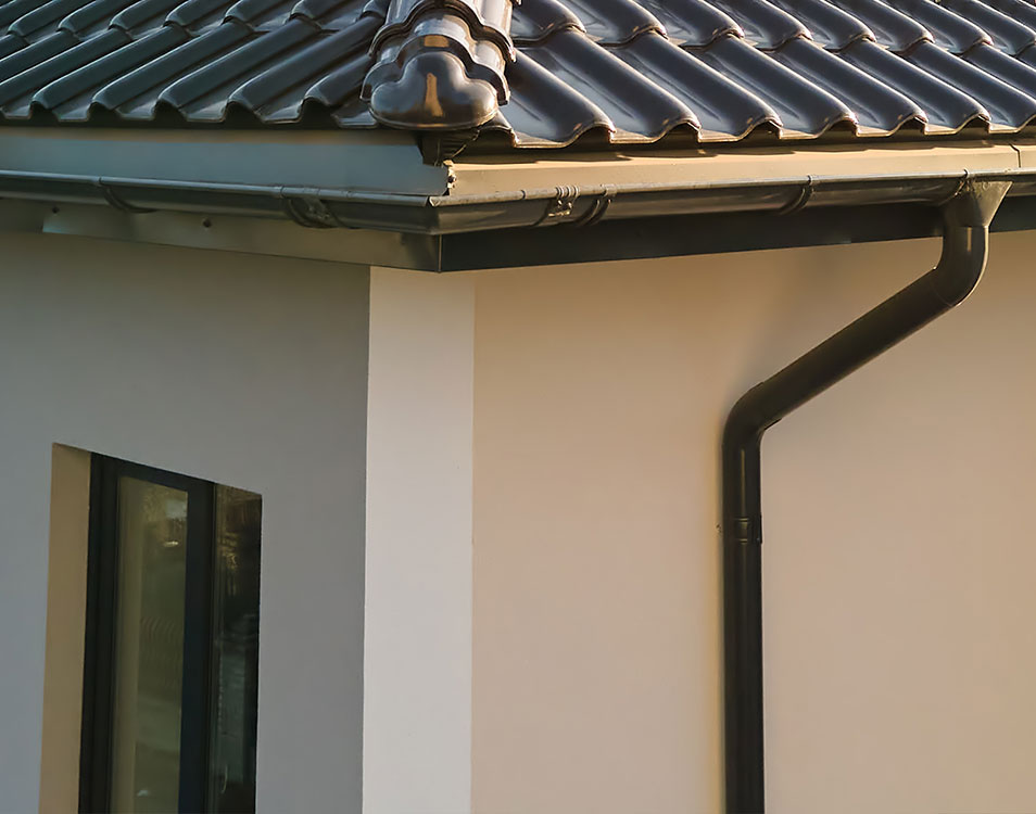 A close-up of a fascia, the section at the end of a rafter shown in warm natural lighting.